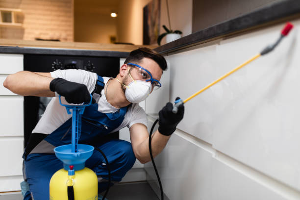 Best Pest Inspection Near Me  in Edgemont Park, MI