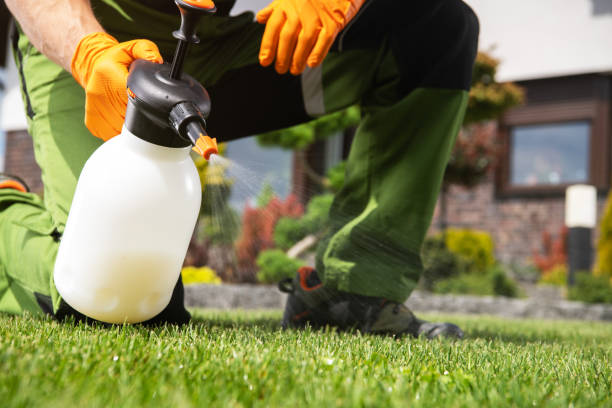 Best Ant Control Services  in Edgemont Park, MI
