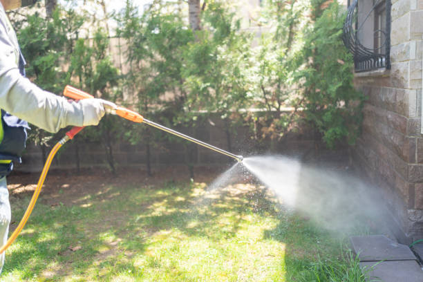 Best Mosquito Control Services  in Edgemont Park, MI
