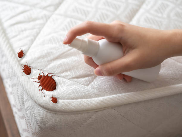 Best Wasp Removal Services  in Edgemont Park, MI