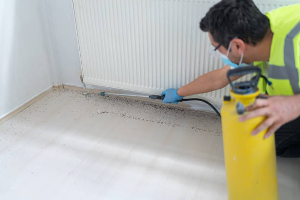 Best Residential Pest Control  in Edgemont Park, MI