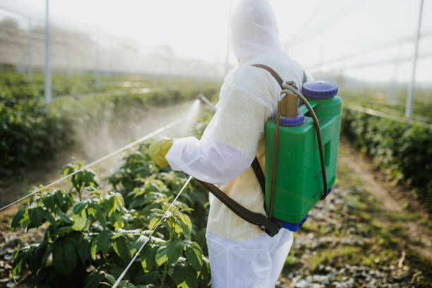 Best Affordable Pest Control Services  in Edgemont Park, MI
